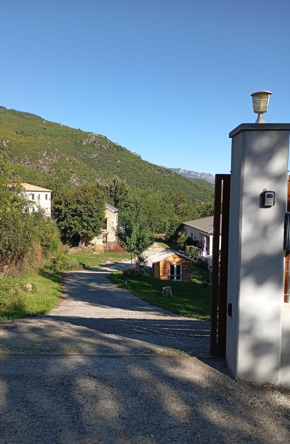 Garden view