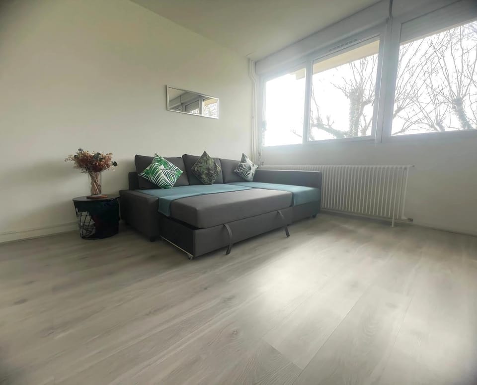 Appartement Le Classik' PARKING PRIVÉ Apartment in Bourgogne-Franche-Comté