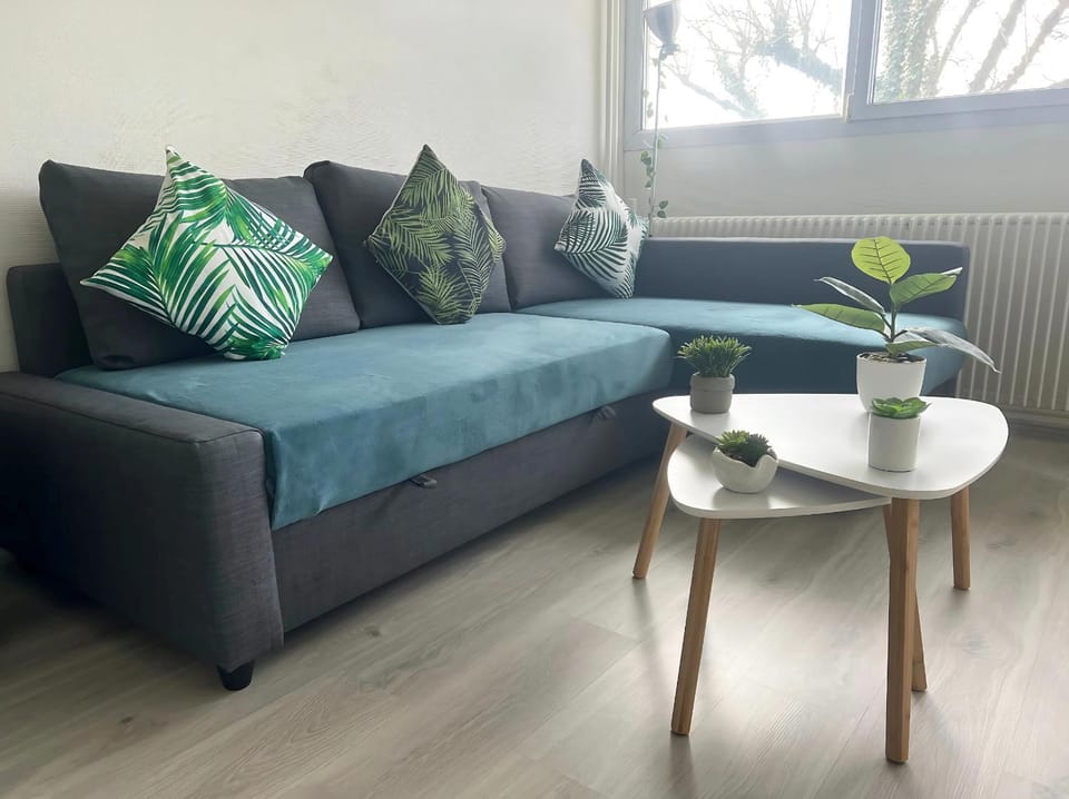 Appartement Le Classik' PARKING PRIVÉ Apartment in Bourgogne-Franche-Comté
