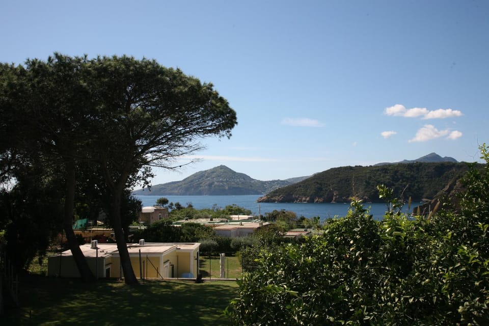 Garden, Garden view, Sea view