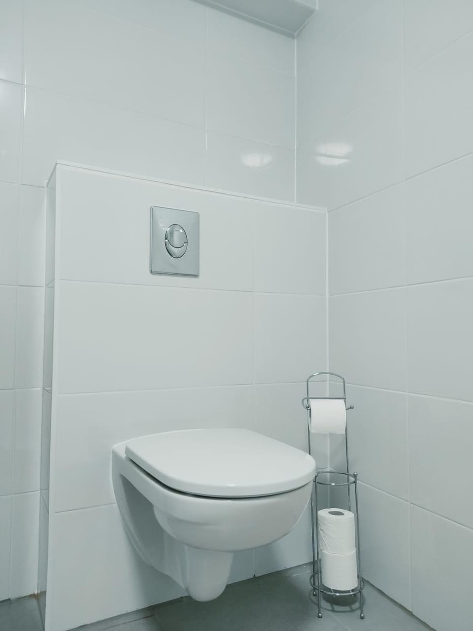 La Suite Élégance Apartment in Grand Est