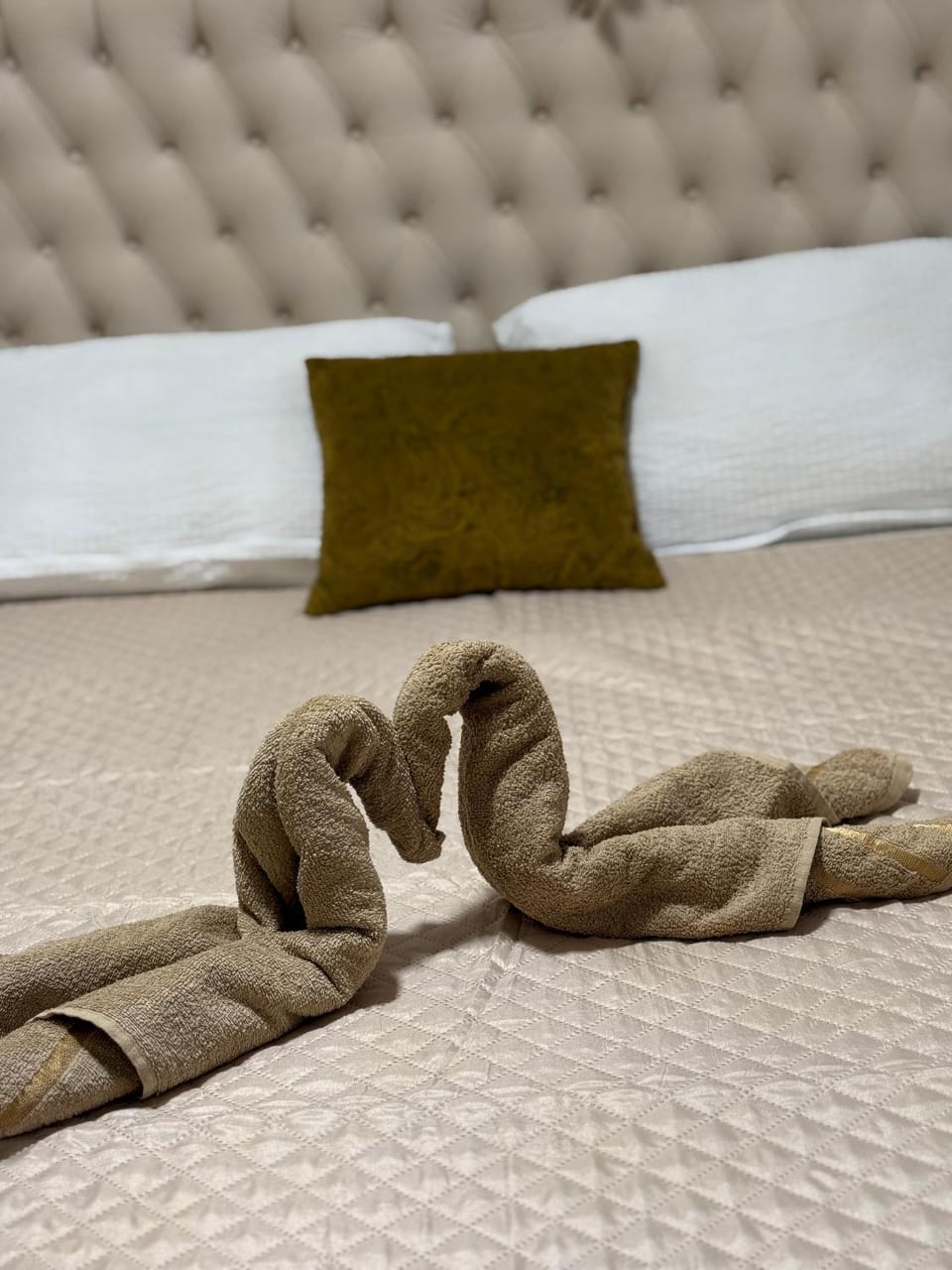 Mo- Luxury Apartment Apartment in Mostar