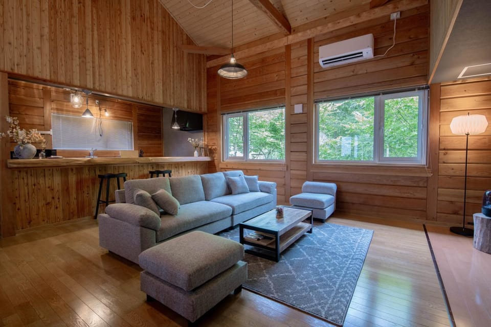 Living room, air conditioner