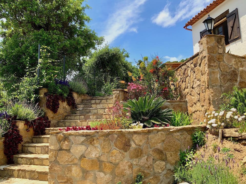 Garden, Garden, Garden view