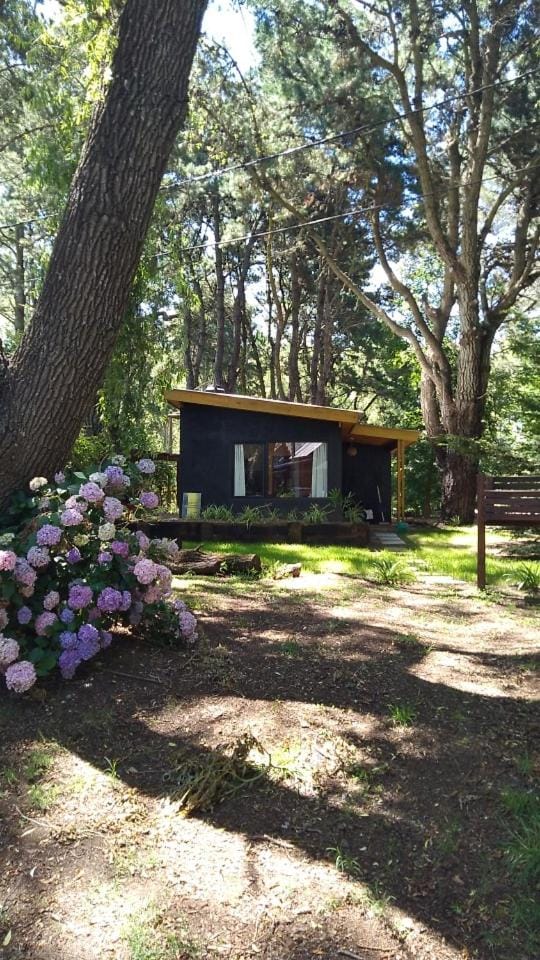 Casa Selva House in Costa del Este