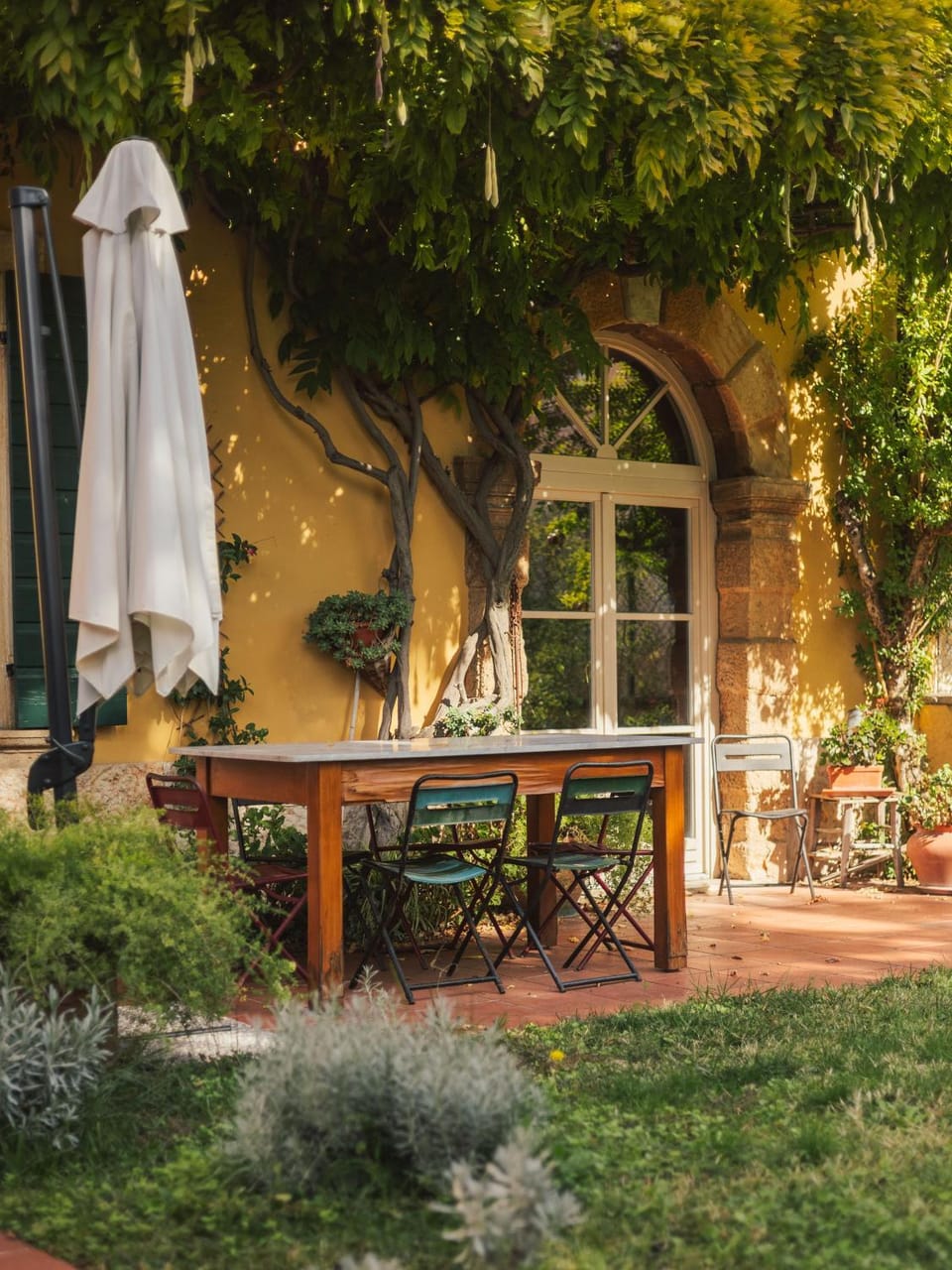 Garden