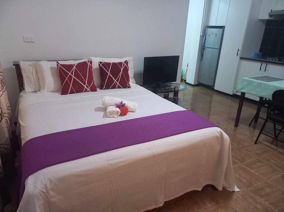Studio Apartment in Namaka Nadi Apartment in Nadi