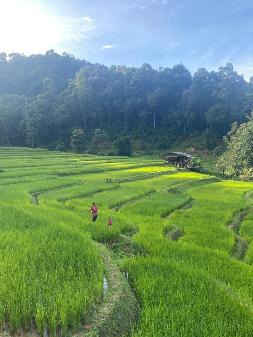 Chibacall ชิบะคอล Karen Mountains Hideaway Homestay Farm Stay in Thailand