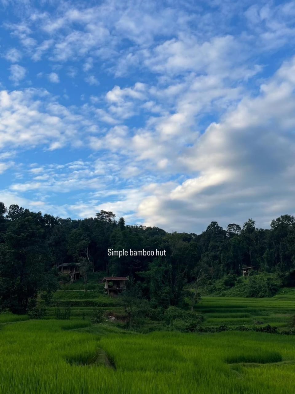 Chibacall ชิบะคอล Karen Mountains Hideaway Homestay Farm Stay in Thailand
