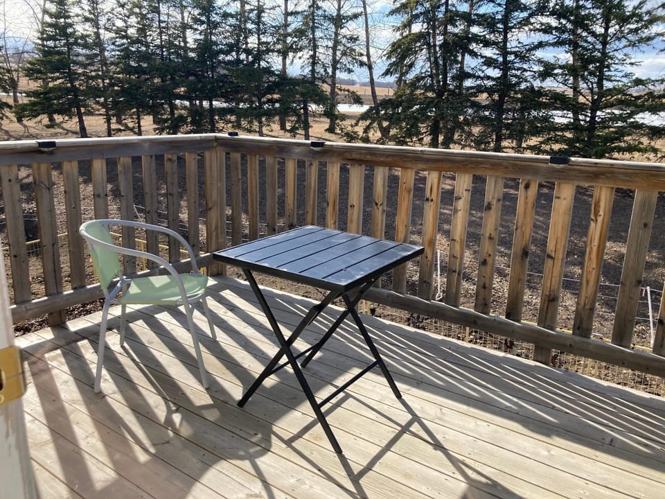 Patio, Dining area