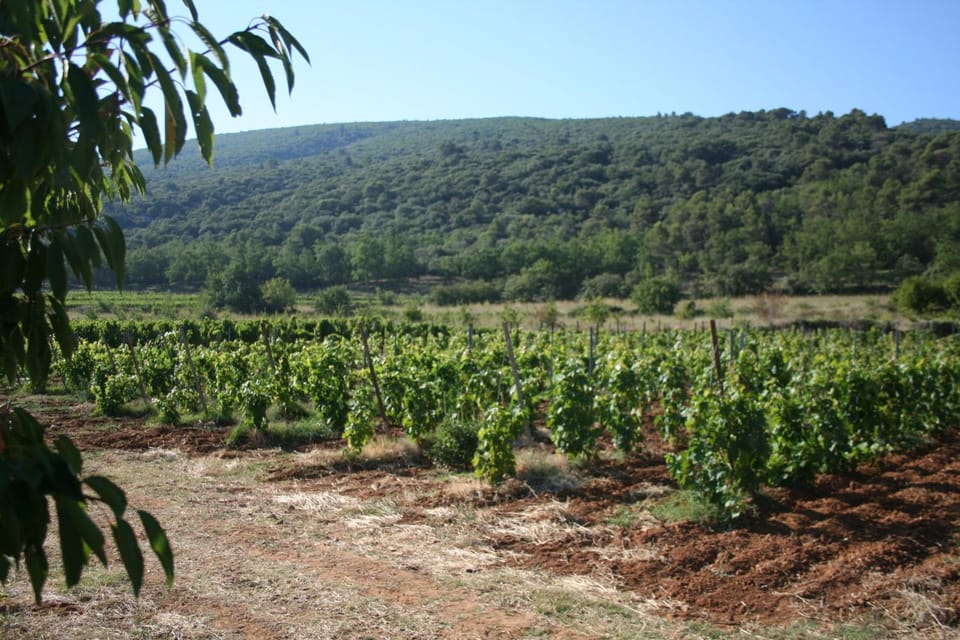 Natural landscape