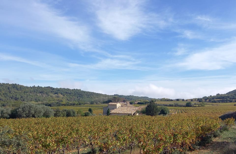 Les Pégots House in Ménerbes
