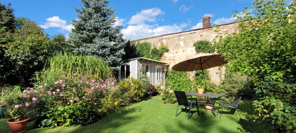 Spring, Garden, Garden view