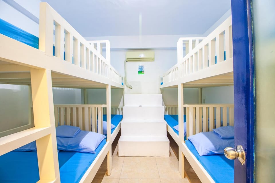 Bed, Photo of the whole room, Bedroom, bunk bed