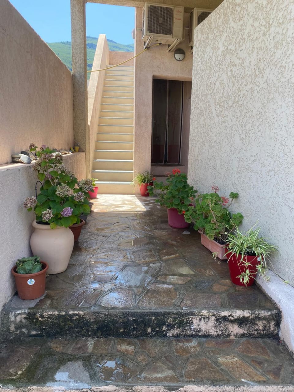 Maison de Léon House in Corsica