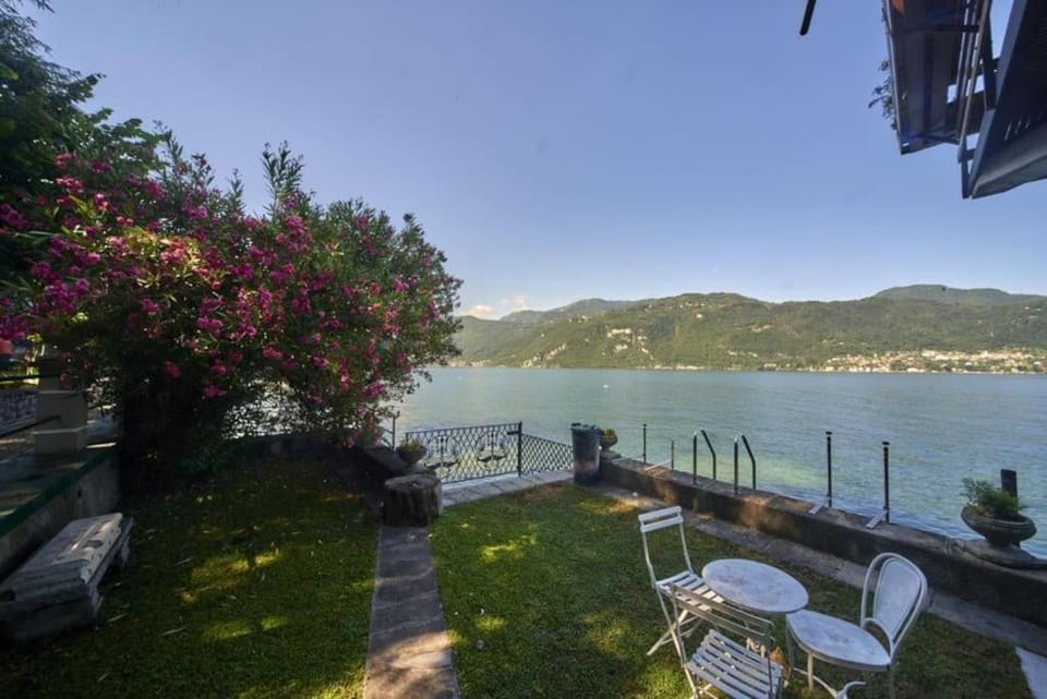 Lake view