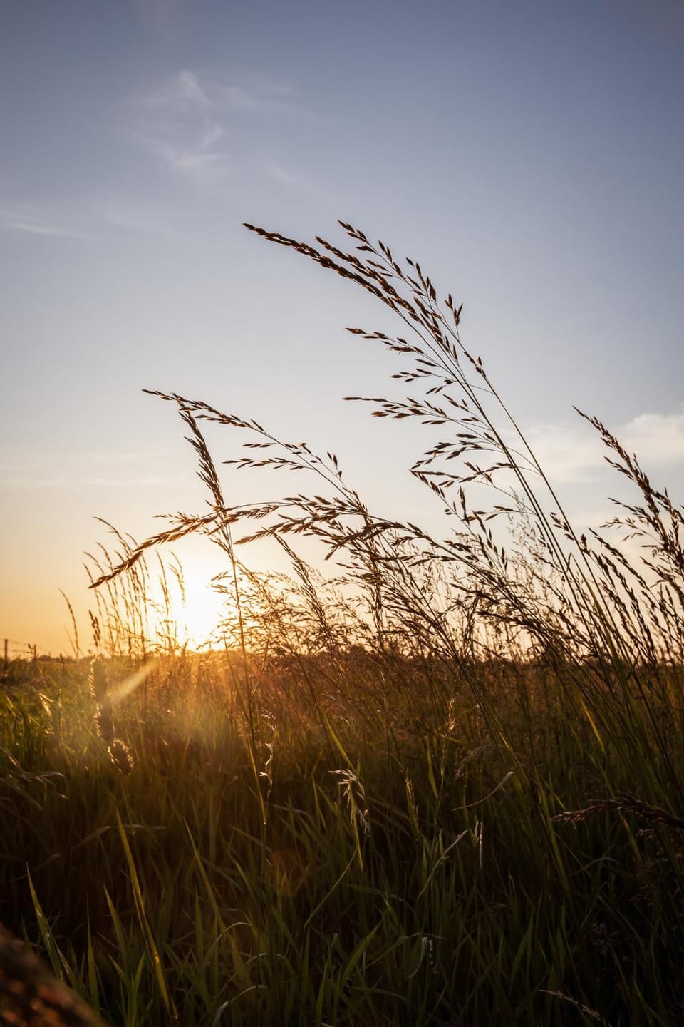 Natural landscape, Sunset