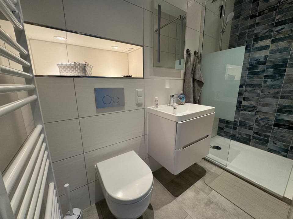 Shower, Toilet, Bathroom, towels