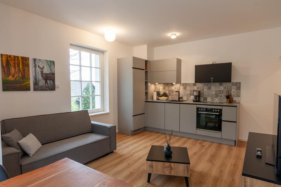Kitchen or kitchenette, Living room