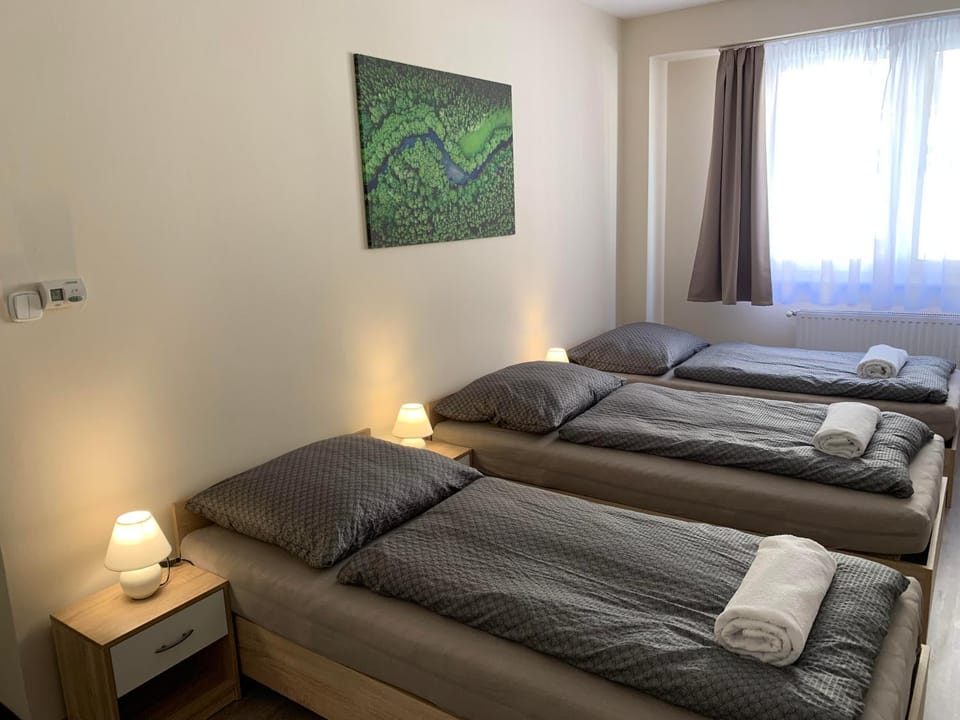 Silver Shine Apartman Apartment in Hungary
