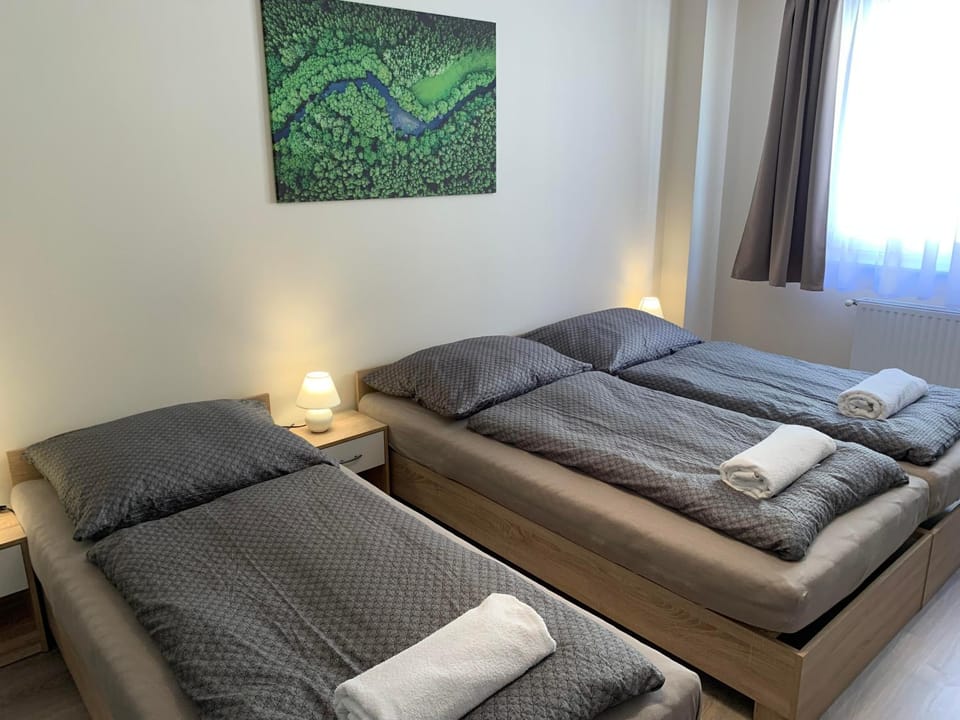 Silver Shine Apartman Apartment in Hungary
