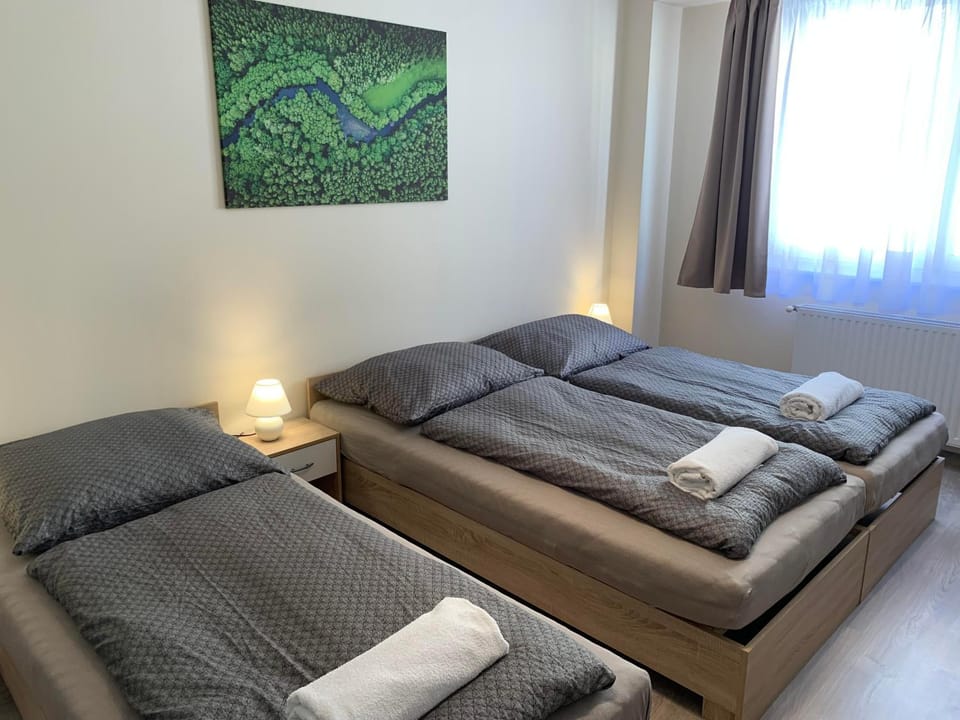 Silver Shine Apartman Apartment in Hungary