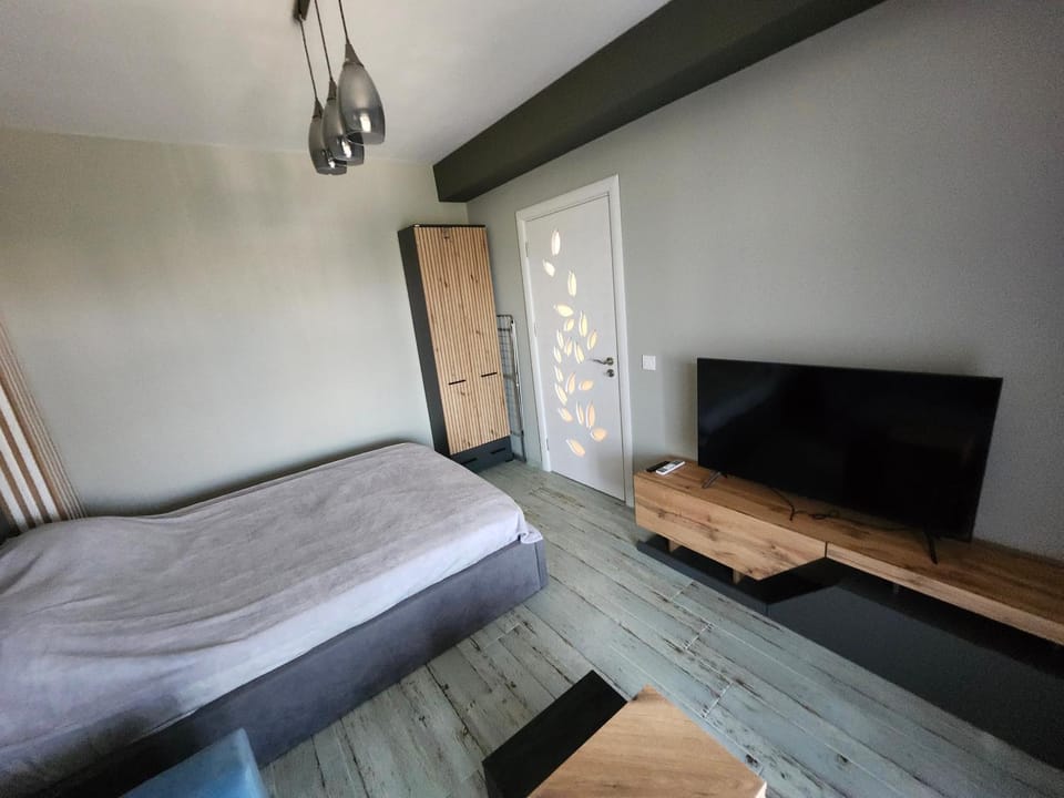 V&S Home Apartment in Plovdiv