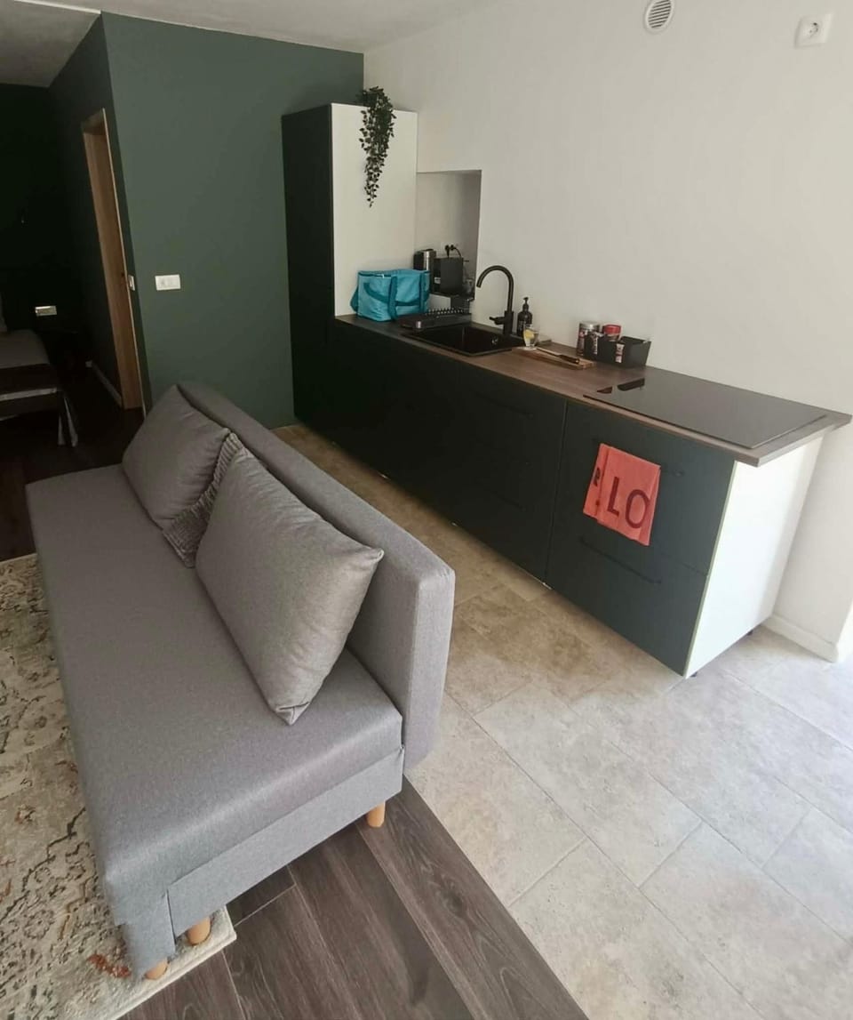 Kitchen or kitchenette, Living room, Seating area