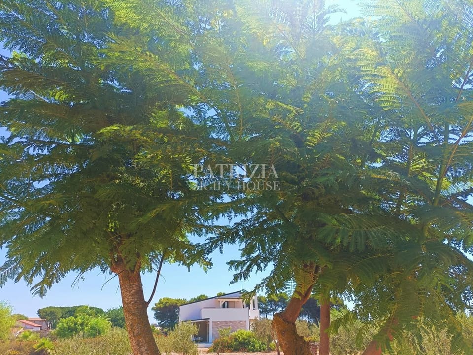 Natural landscape, Garden view