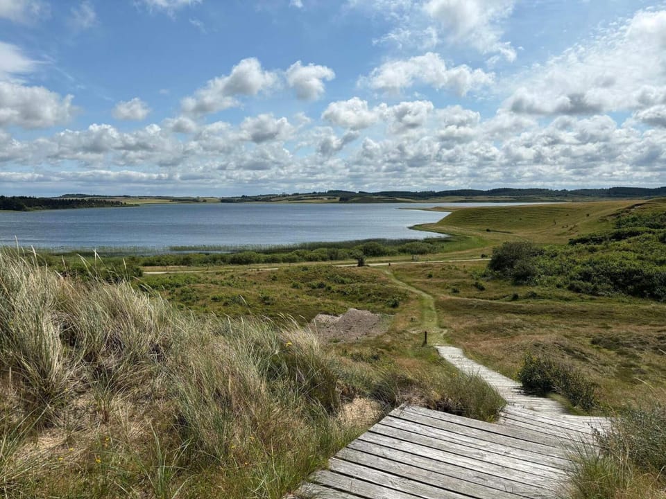 Lake view