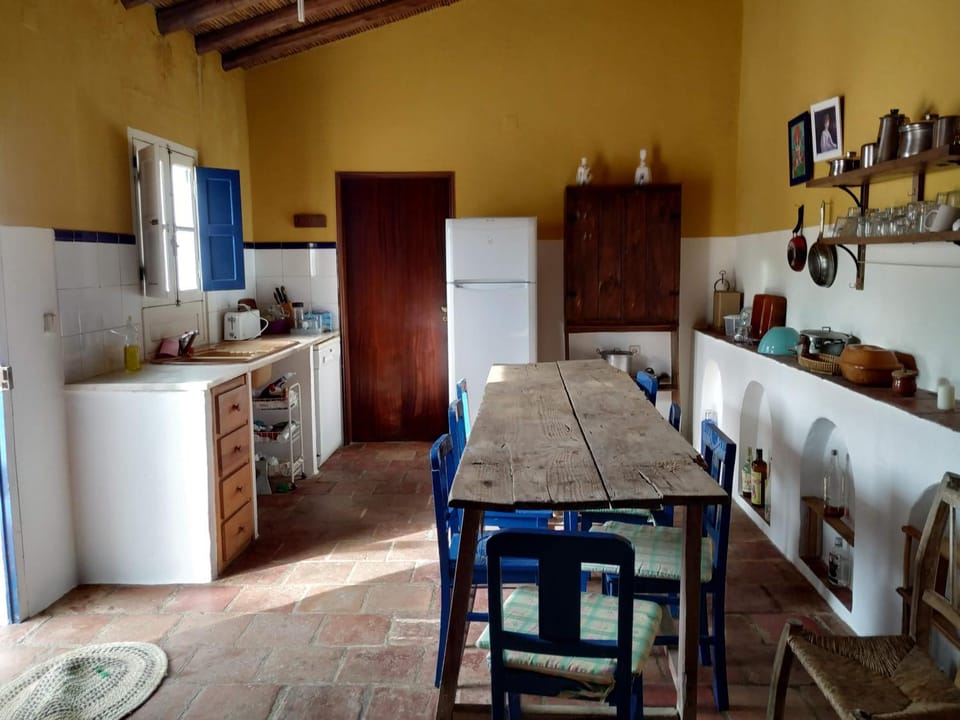 Kitchen or kitchenette, Dining area, pet friendly, stove