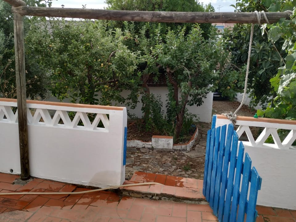 Garden, Balcony/Terrace, Garden view