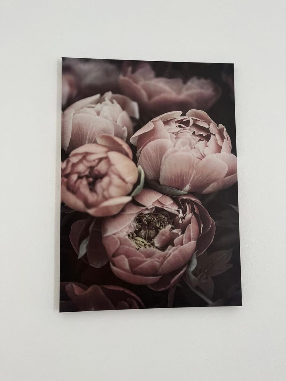 House of Flowers Apartment in Veneto