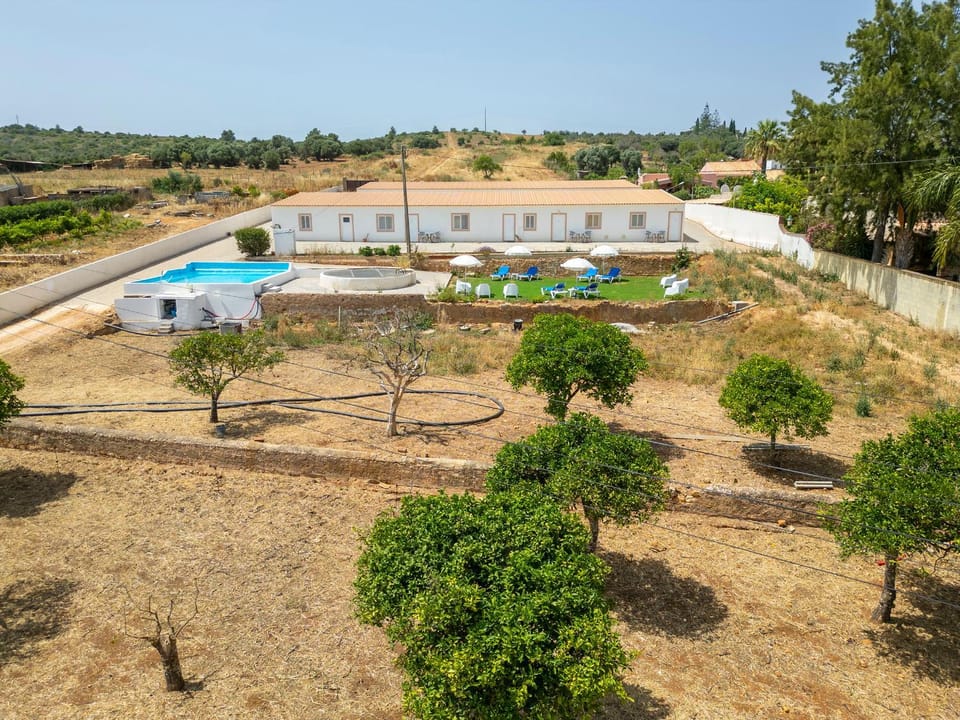Property building, Day, Natural landscape, Garden, Garden view, Swimming pool, sunbed