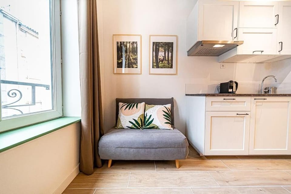 "Le Forêt" Joli T1 22m2 Clim Prox Gare Métro Tram Apartment in Villeurbanne