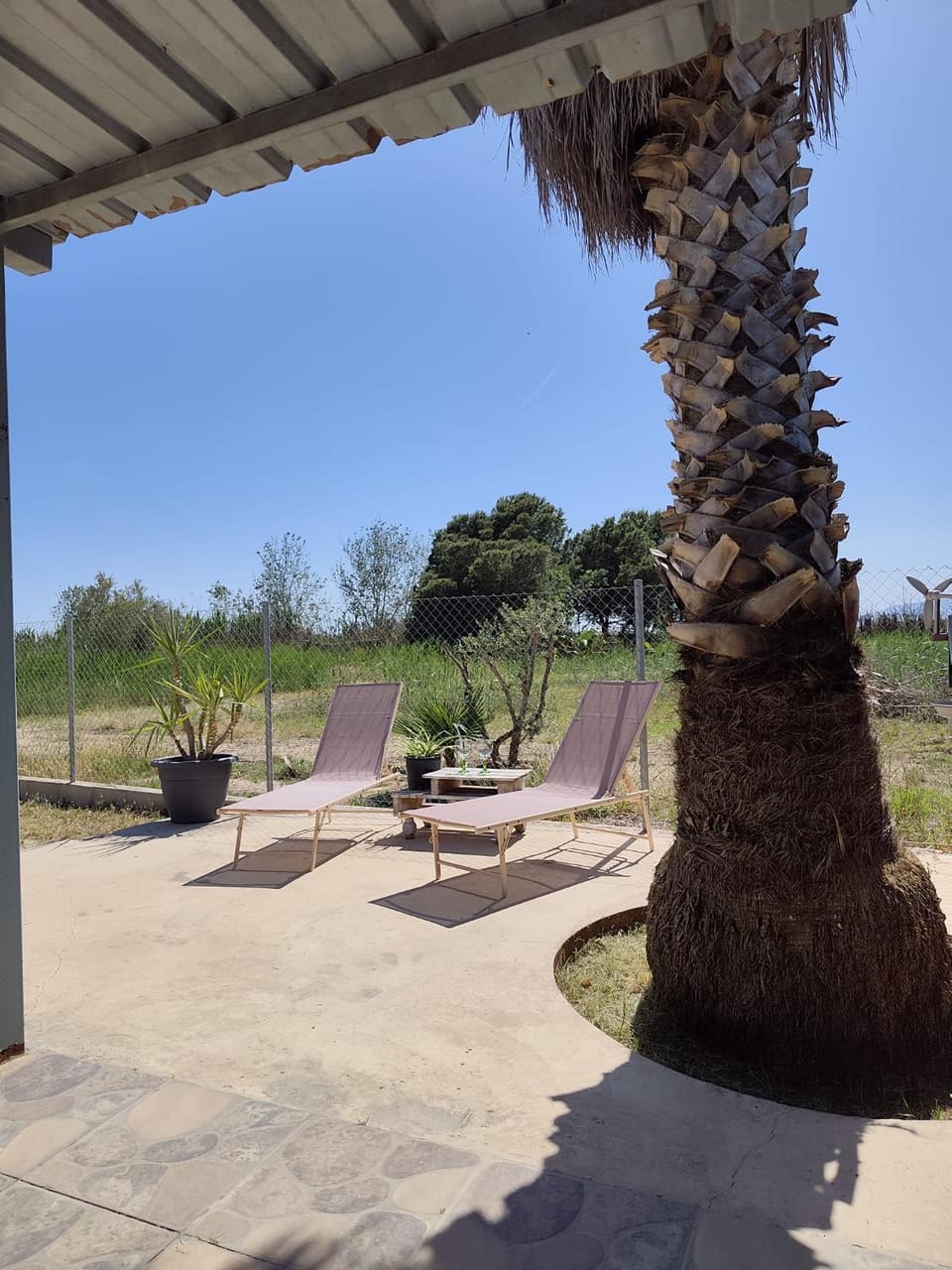 Patio, Garden, sunbed