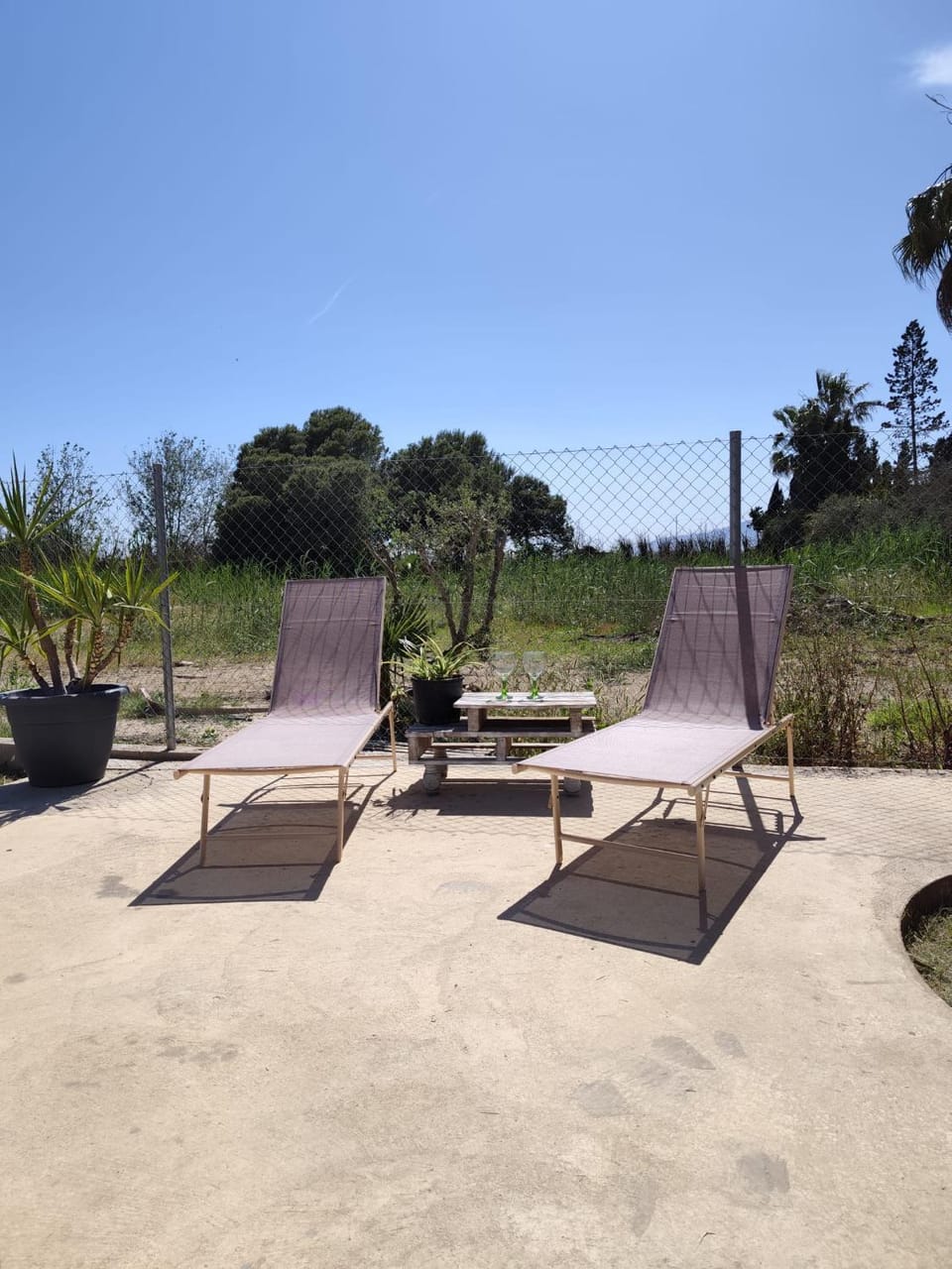 Natural landscape, Balcony/Terrace, sunbed