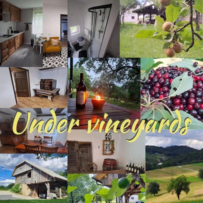 Pod vinogradi Apartment in Slovenia