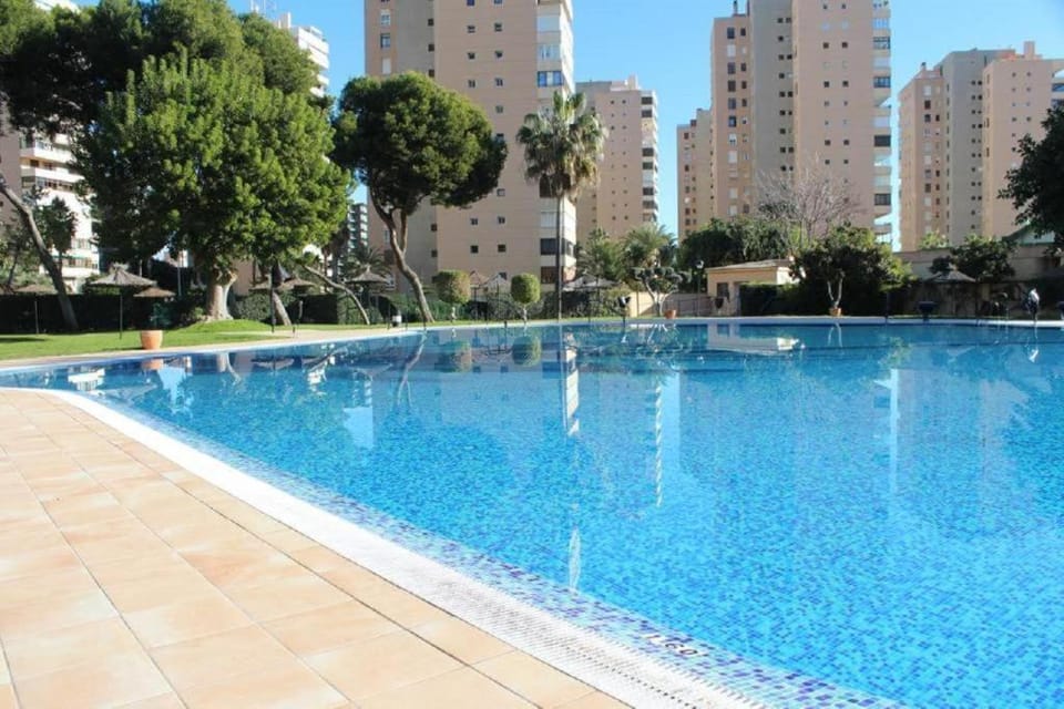 Natural landscape, Pool view, Swimming pool, sunbed