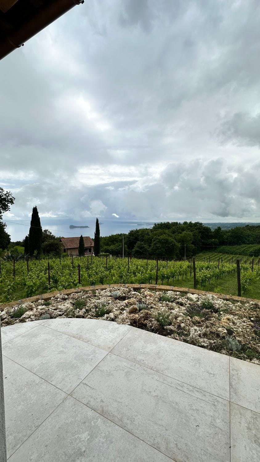 Natural landscape, Garden view