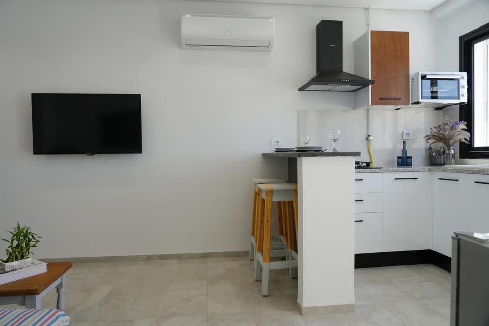 TV and multimedia, Kitchen or kitchenette, minibar, oven, air conditioner