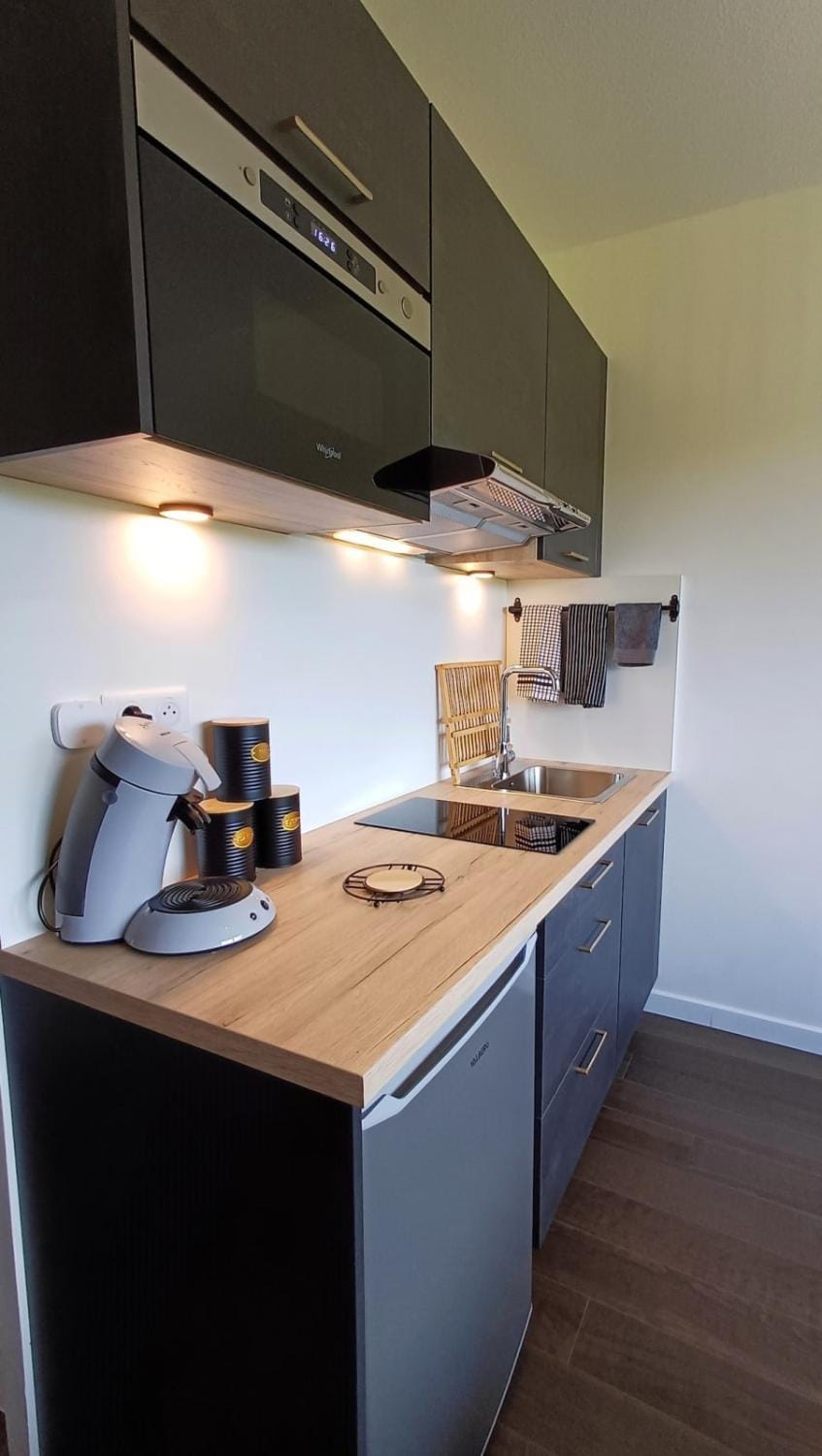 Drop of gold - Avenue de Champagne Apartment in Epernay