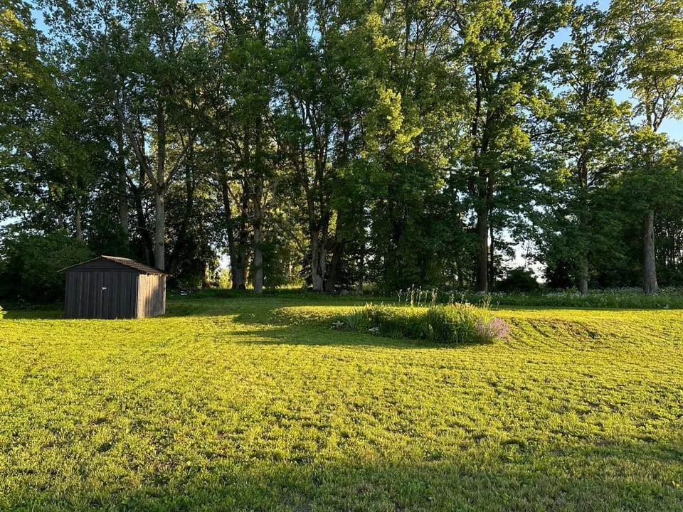 Garden, Garden view