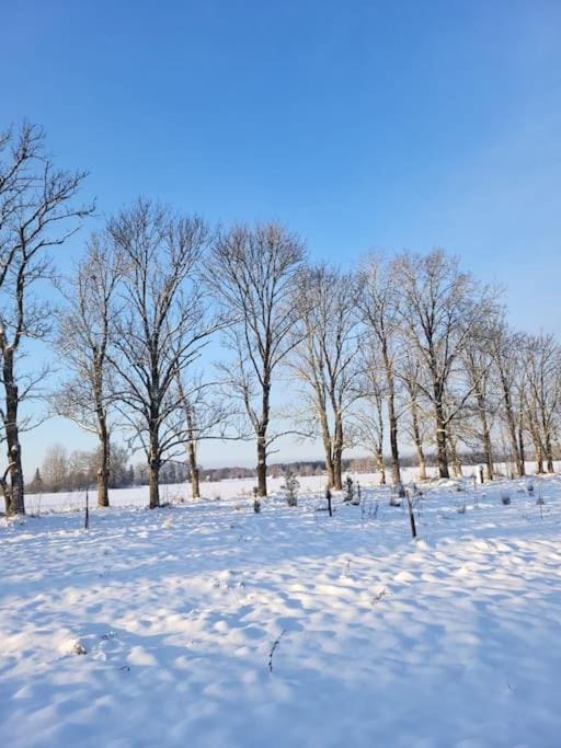 Cottage in Nature, free sauna, free breakfast House in Latvia