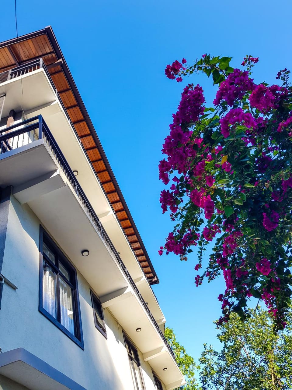 Property building, Day
