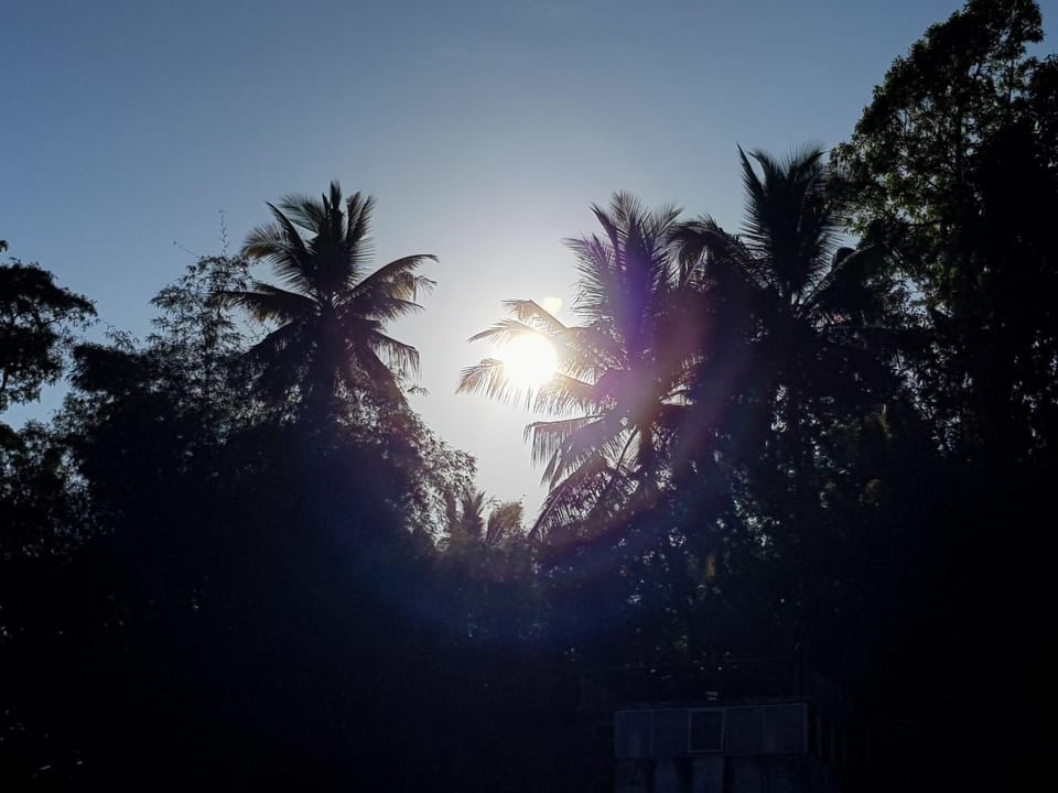 Day, Natural landscape, Sunrise