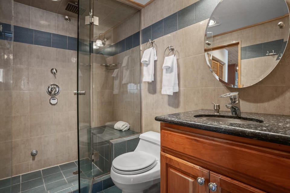 Ski In, Ski Out, Steam Shower in Unit, Outdoor Hot Tub House in Steamboat Springs