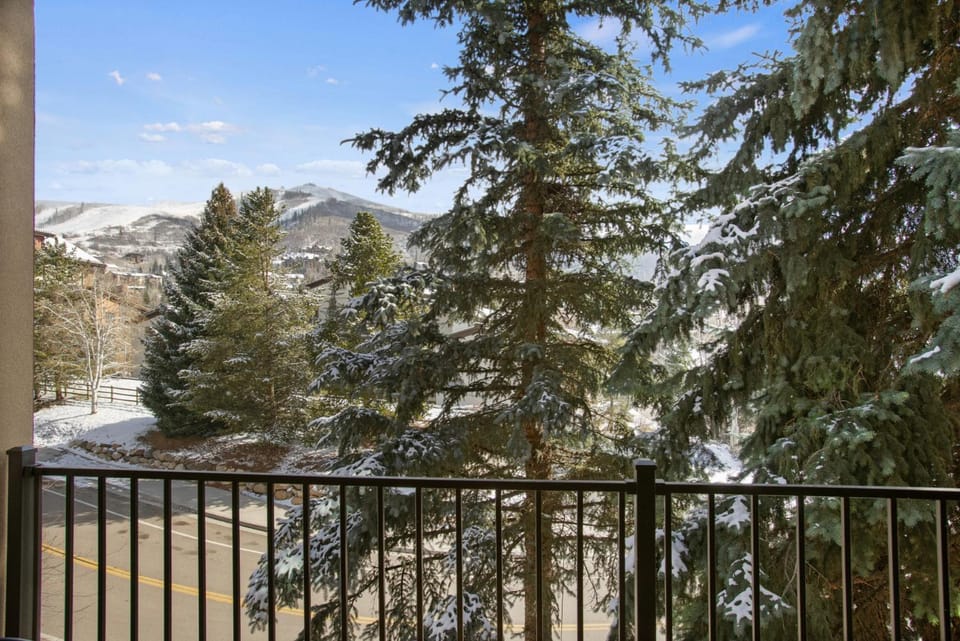 Snow Flower 204 -REDUCED RATES- Pool, Hot Tub, Balcony with Views, Steps to Gondolas, Restaurants House in Steamboat Springs