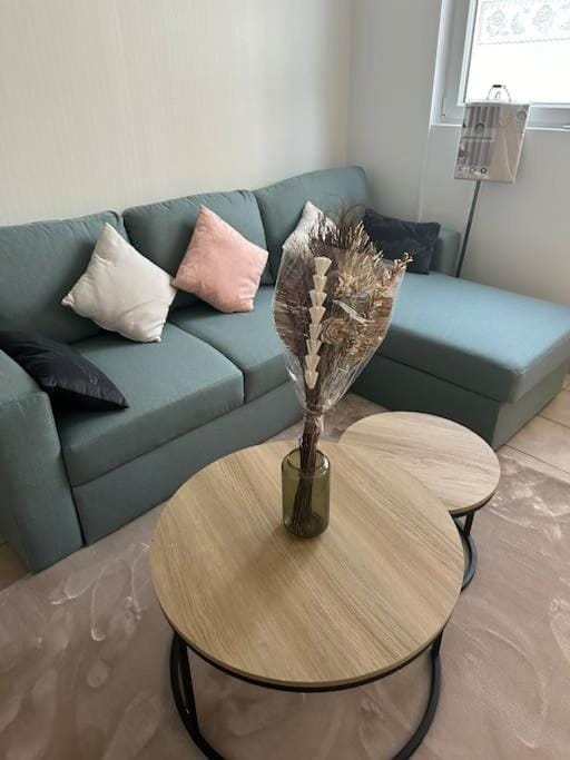 Beau Studio et grande terrasse aux portes de Paris Apartment in Aubervilliers