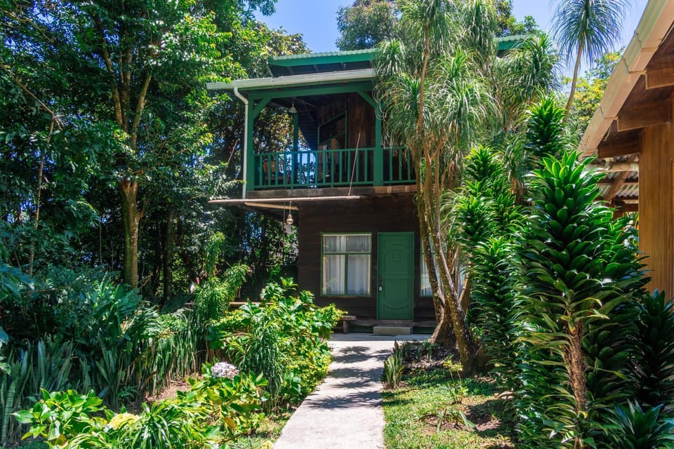 Property building, Spring, Day, Garden, View (from property/room), Balcony/Terrace, Garden view